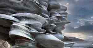 Pool by Tony Cragg Pilane 2022