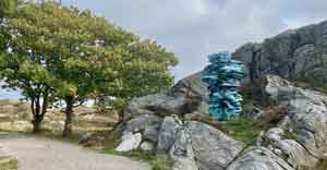 Pool by Tony Cragg